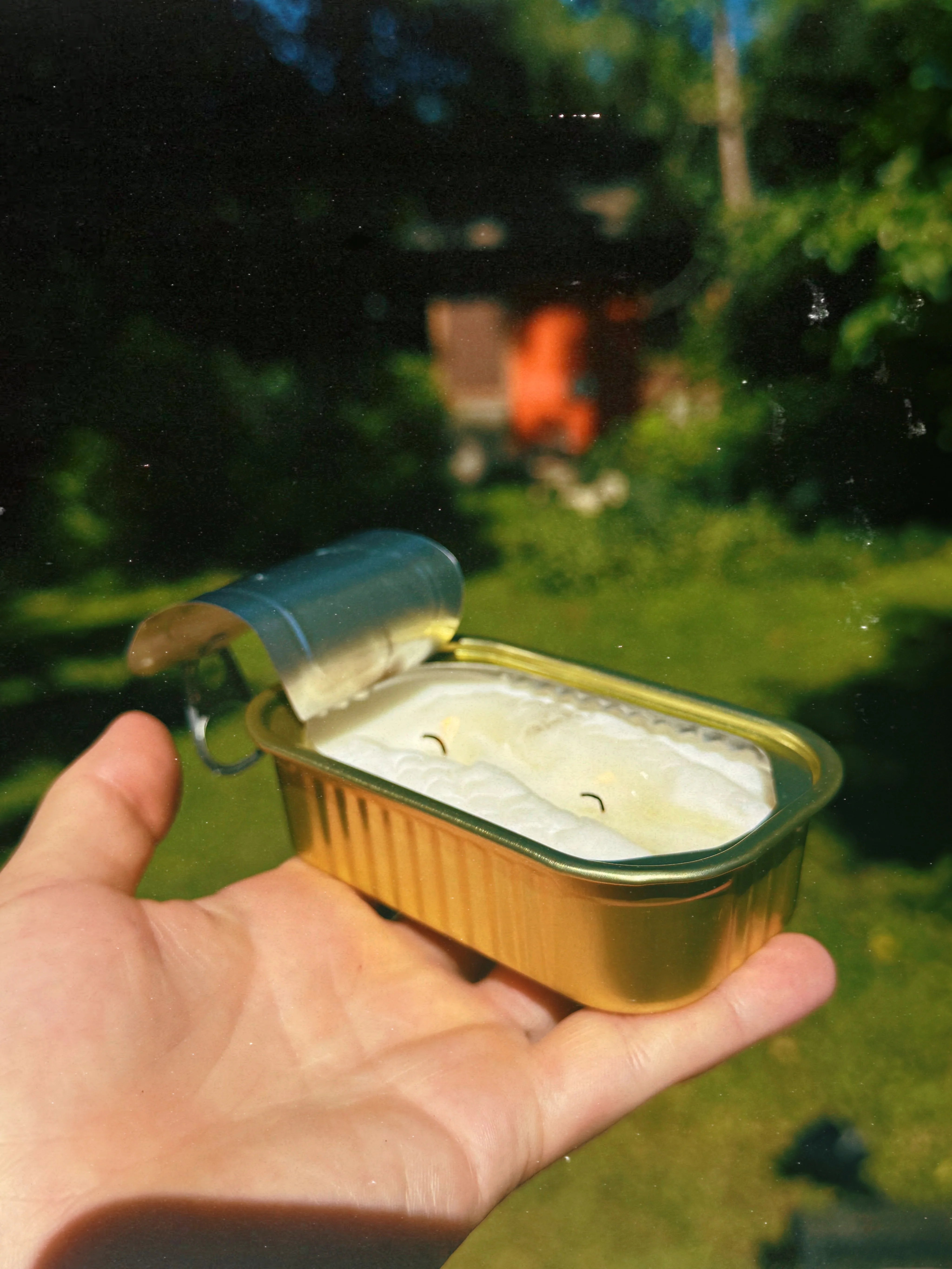 Citronella Tinned Fish Candle