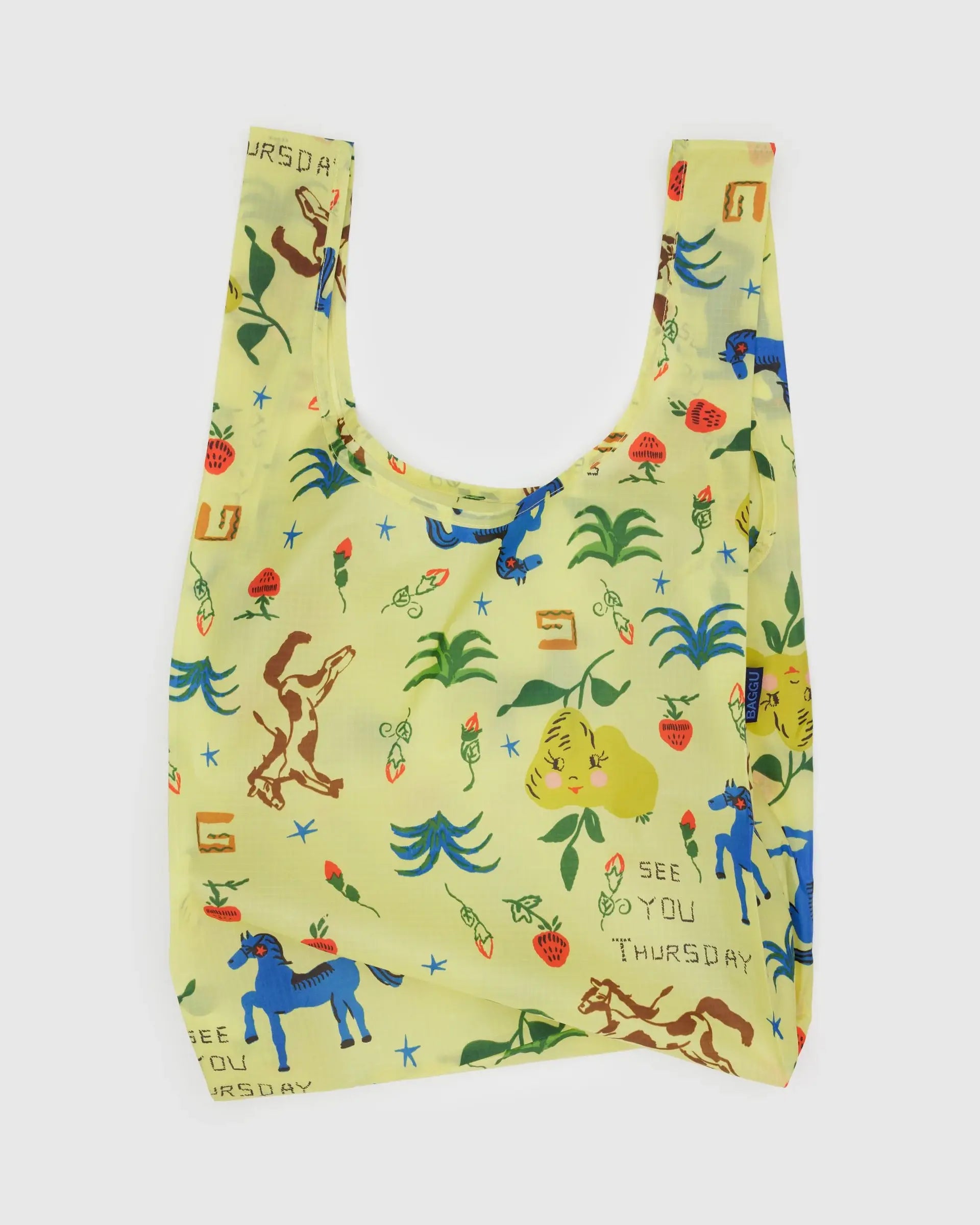 Standard Baggu in Painted Prairie