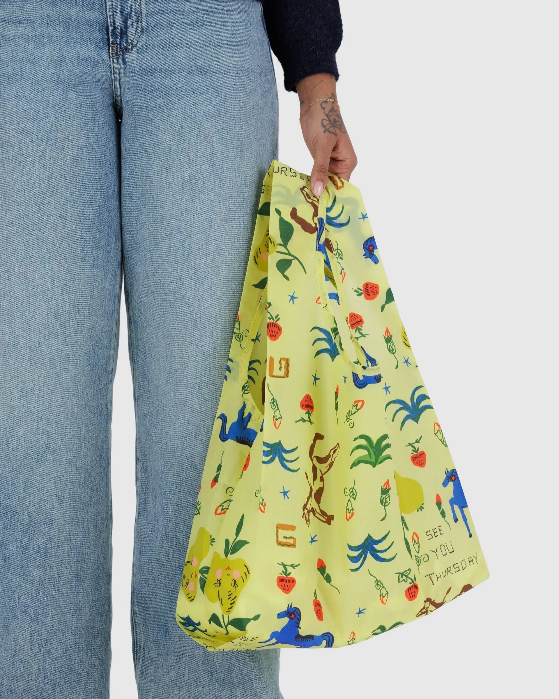 Standard Baggu in Painted Prairie