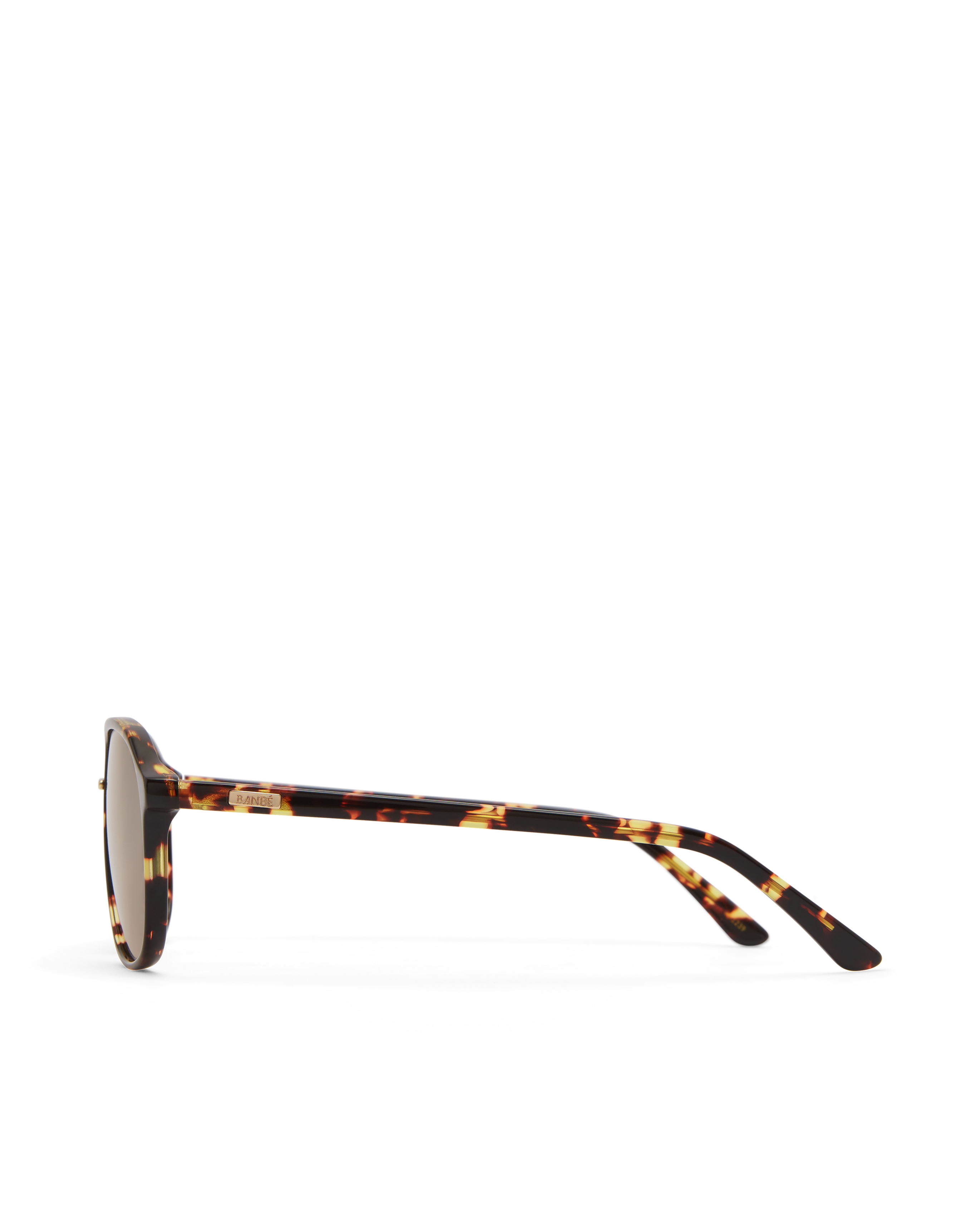 The Cyrus in Amber Tortoise