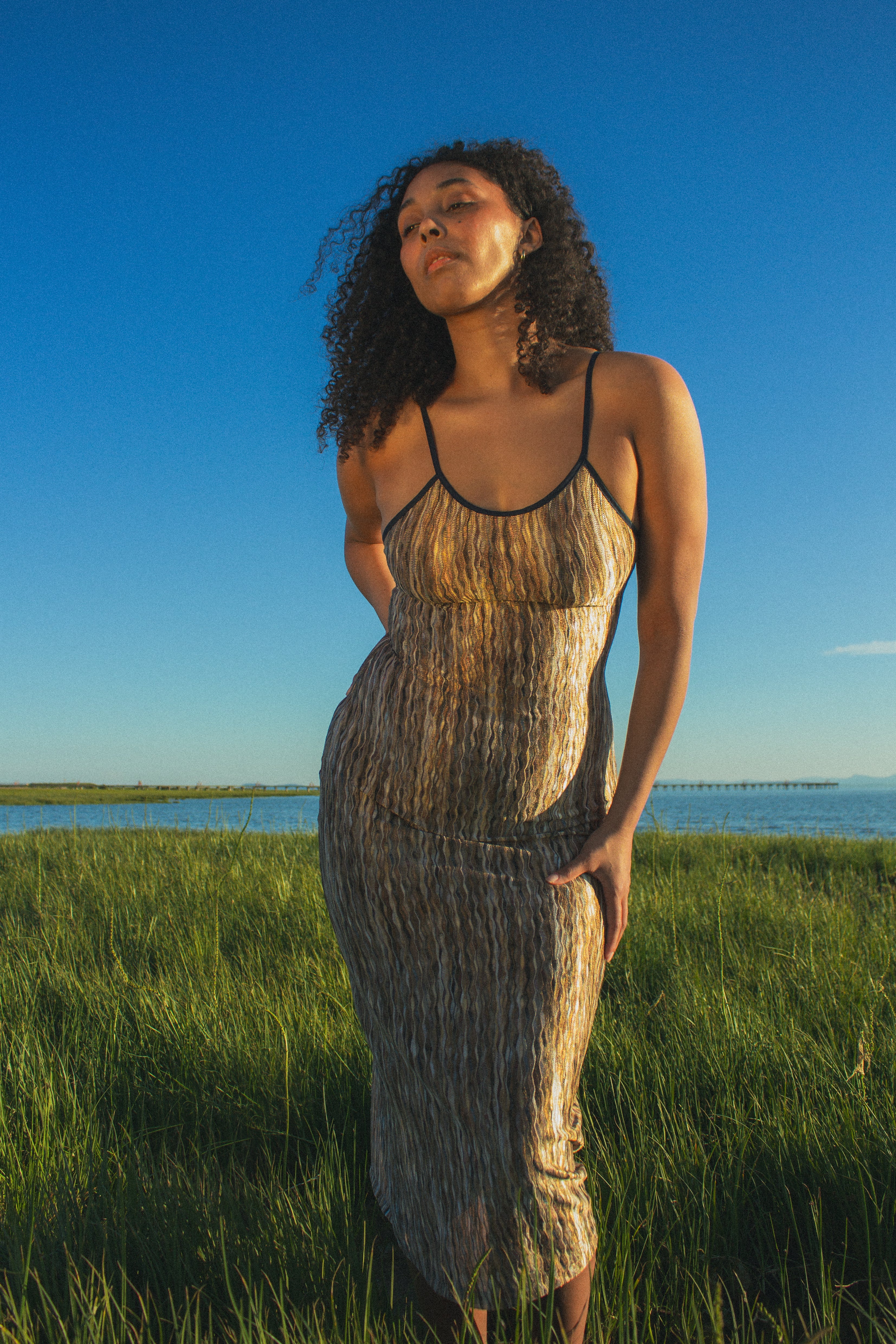 Brown Naomi Dress