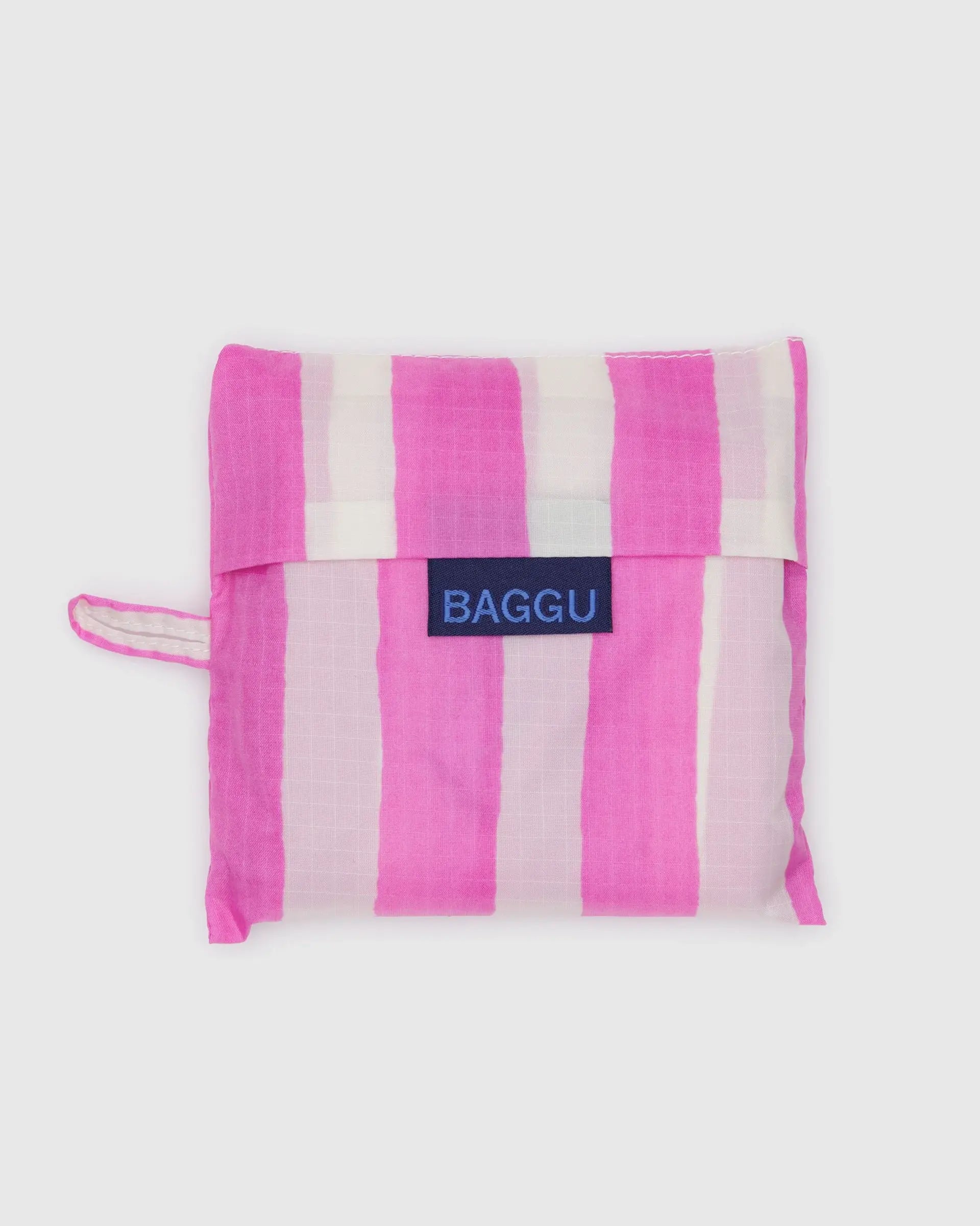 Standard Baggu in Pink Painted Stripe