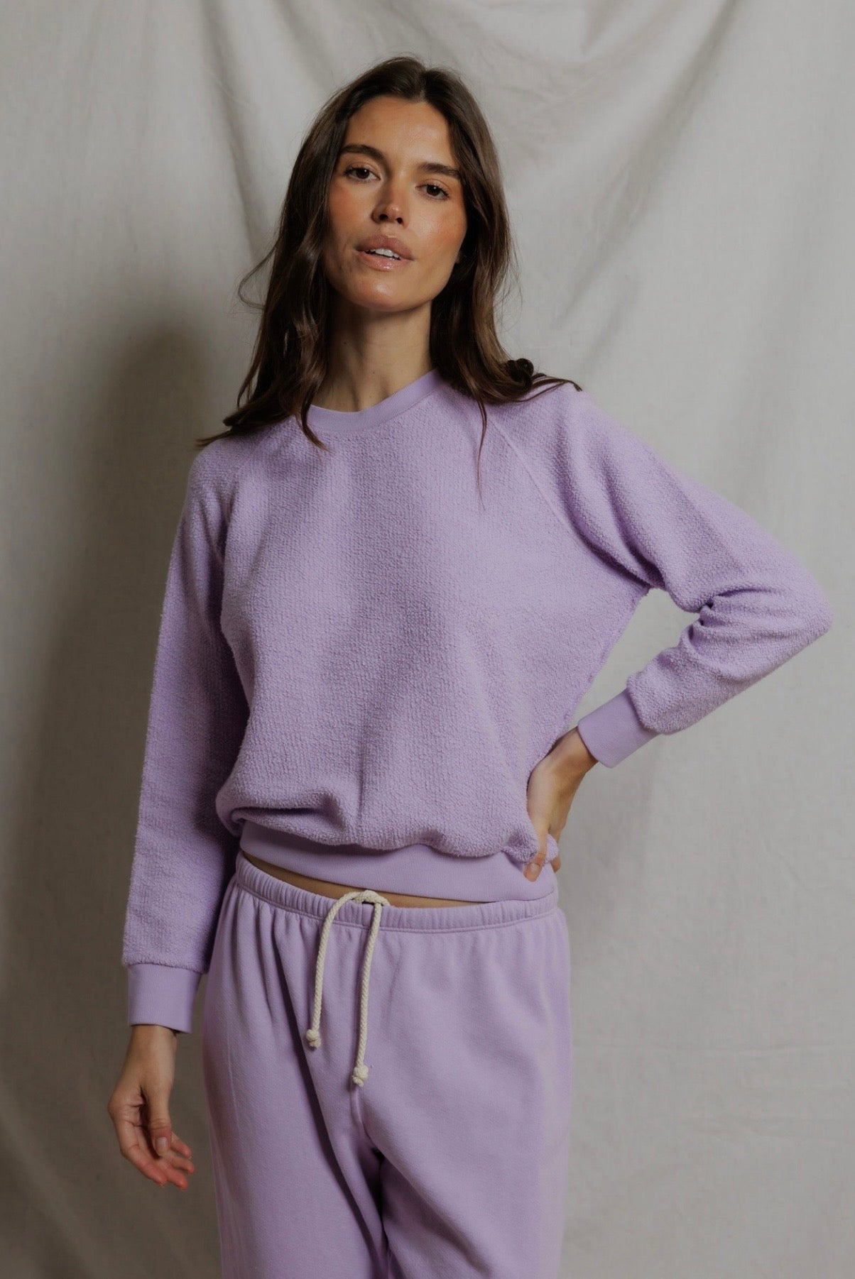 Ziggy Reverse Fleece Crewneck Sweatshirt in Ultraviolet