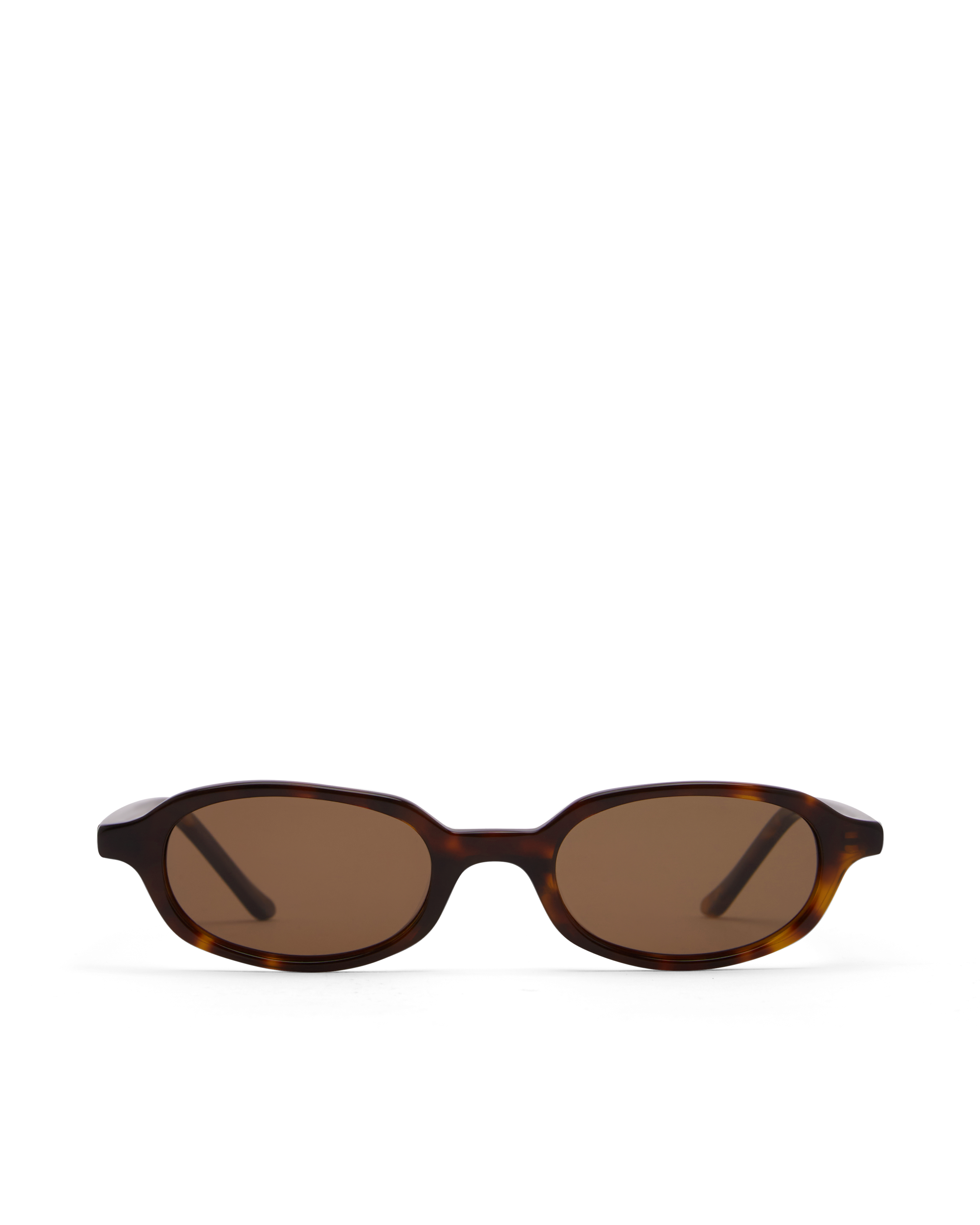 The Cassel in Caramel Tortoise