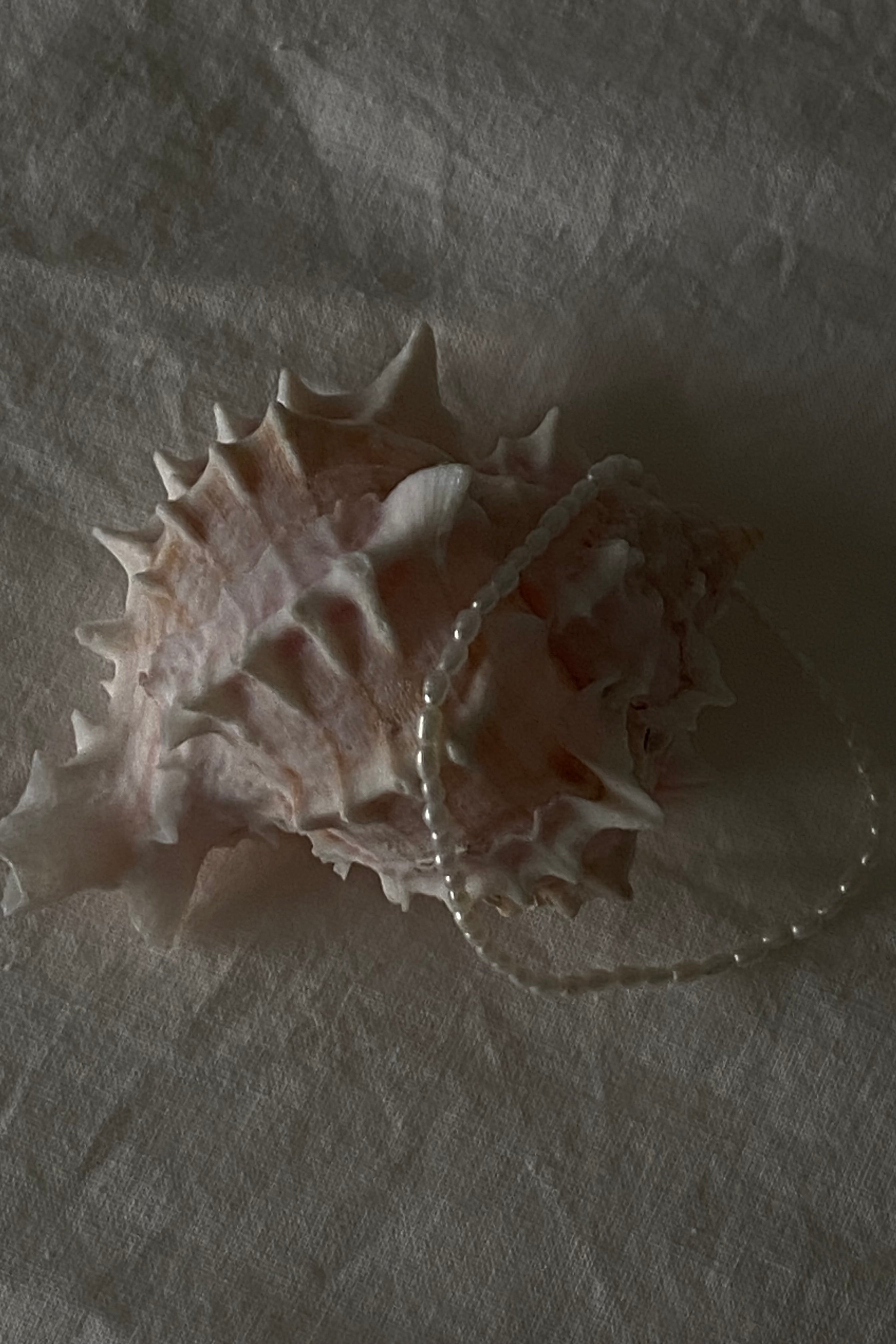 Petite Pearl Bracelet