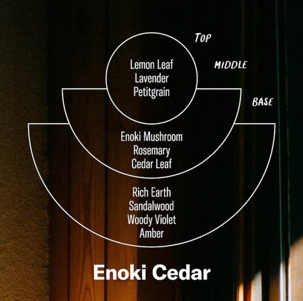 Enoki Cedar Candle