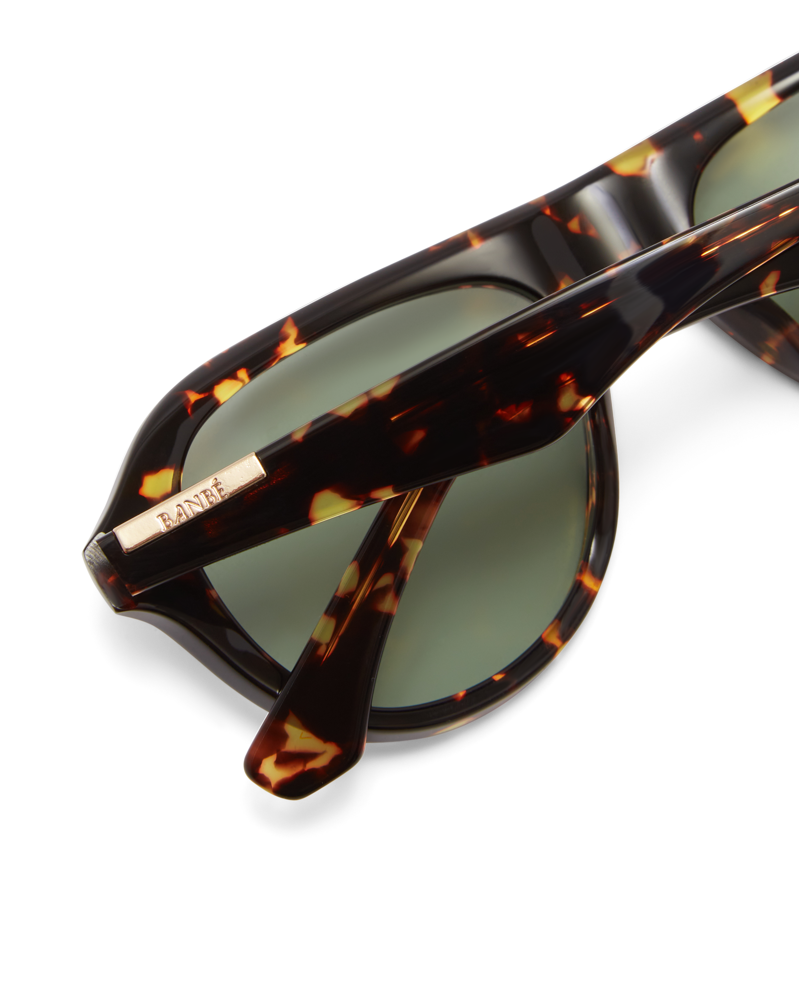 The Riley in Amber Tortoise