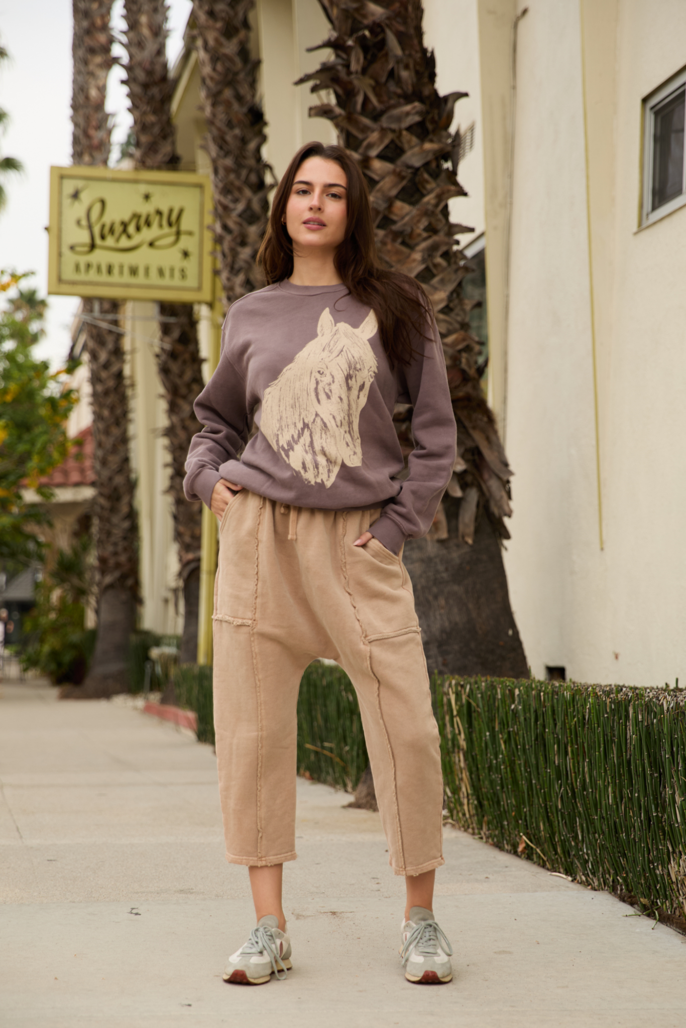 Sundown Sweatpants