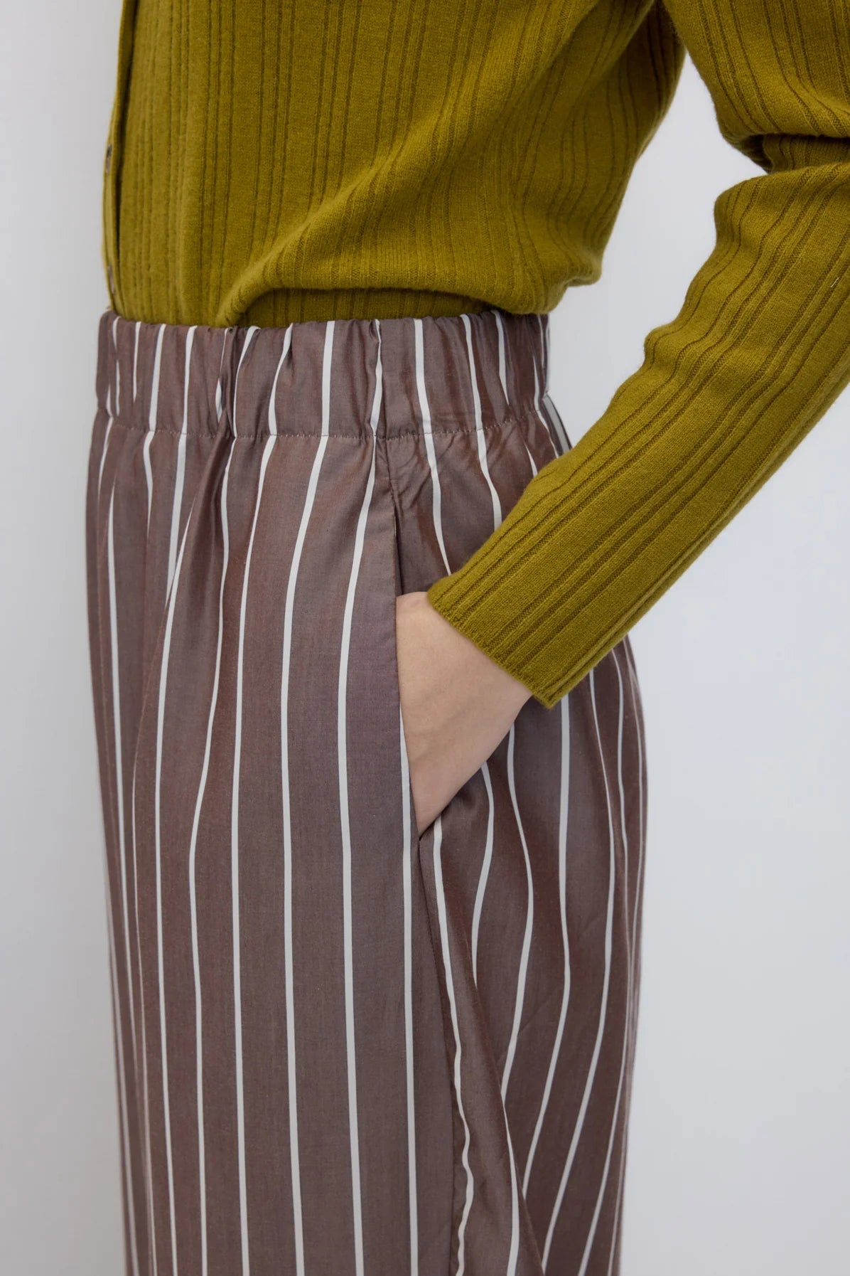 Turin Pants in Stripe