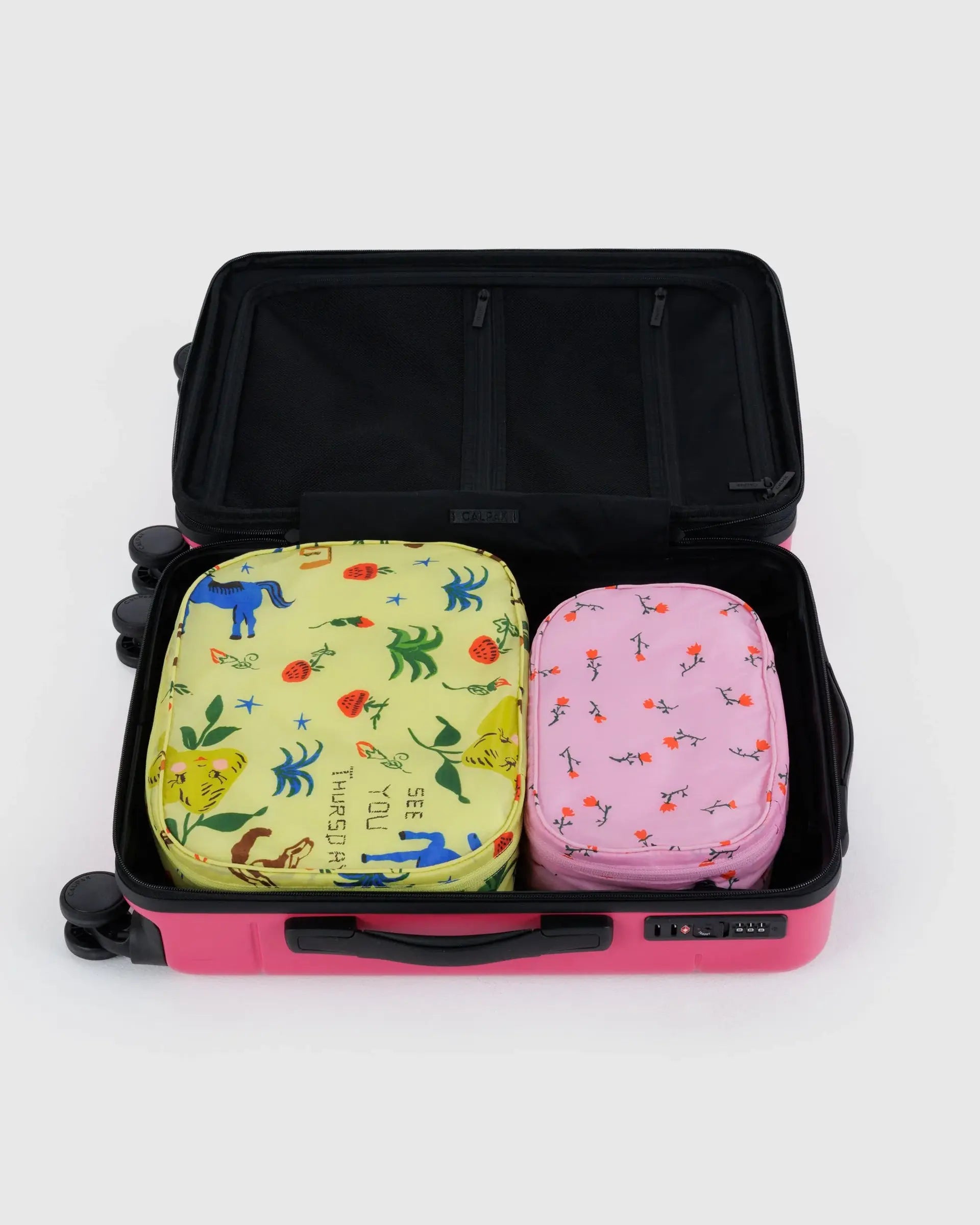 Packing Cube Set in Painted Prairie