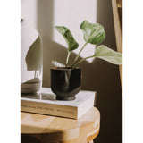 Mini Concrete Face Planter in Noir