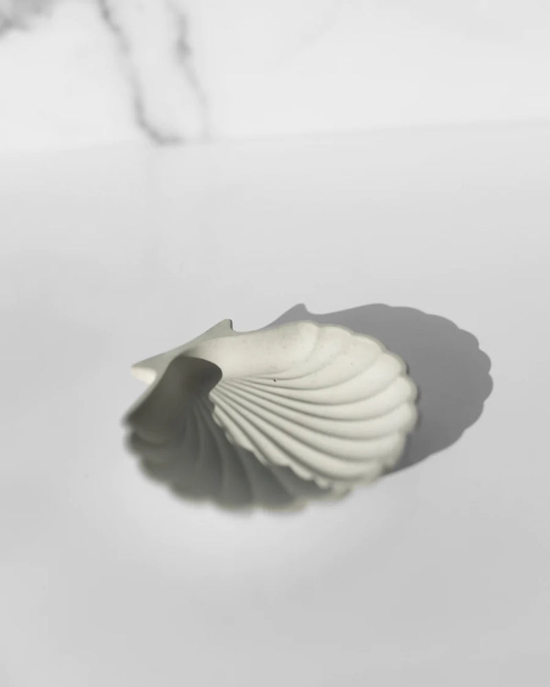 Seashell Concrete Tray