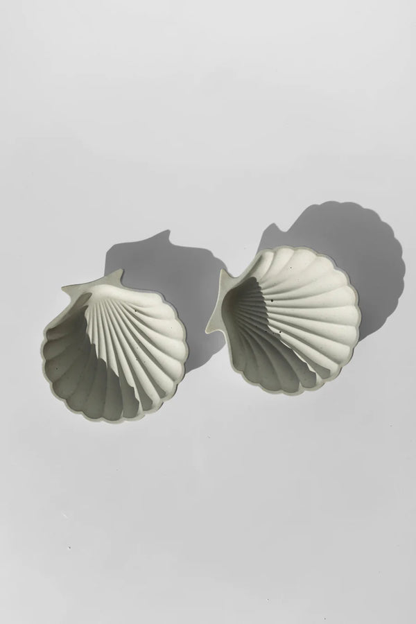 Seashell Concrete Tray