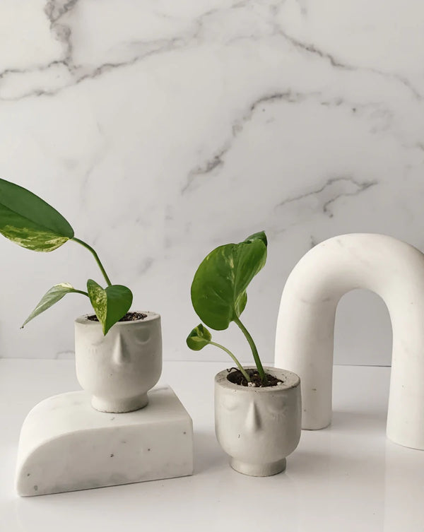 Mini Concrete Face Planter in Concrete