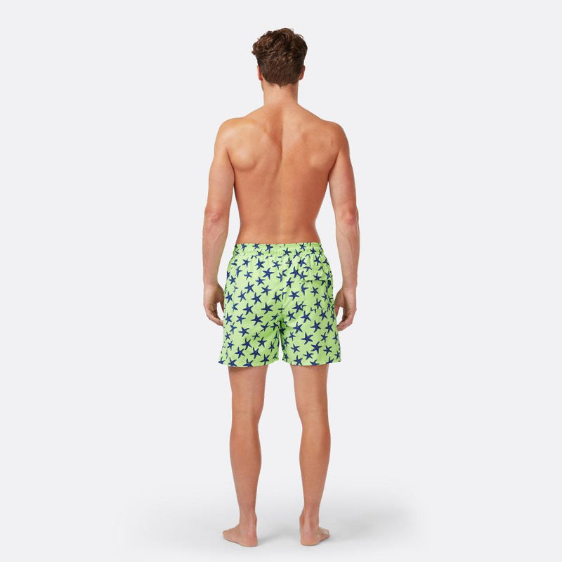 Fresh Green & Blue Starfish