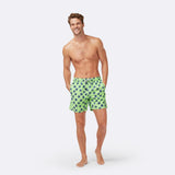 Fresh Green & Blue Starfish
