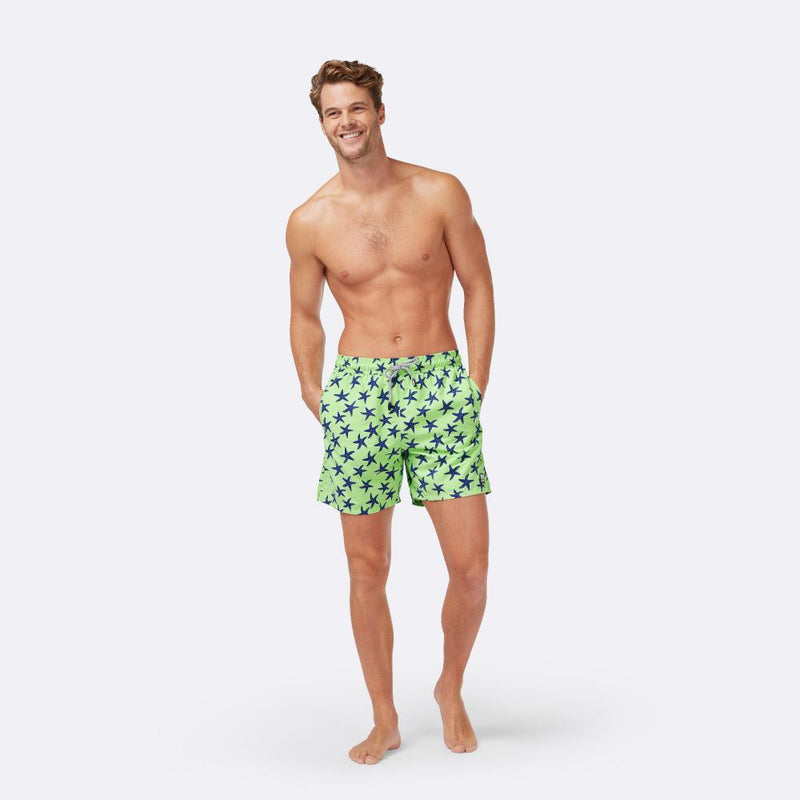 Fresh Green & Blue Starfish