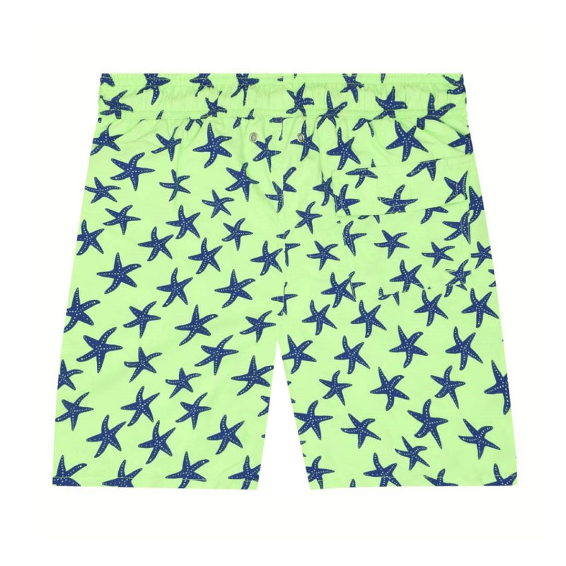 Fresh Green & Blue Starfish