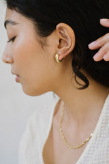 Joni Hoops