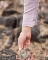 Playa Shirt / Lavender