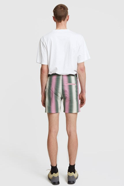 Roy Gradient Stripe Swimshorts