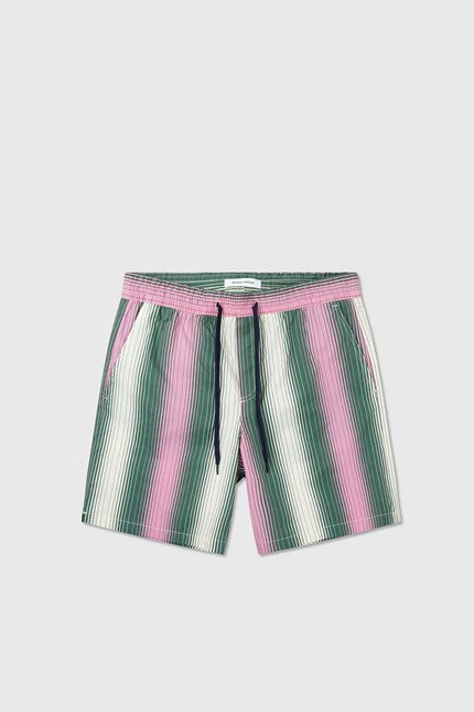 Roy Gradient Stripe Swimshorts