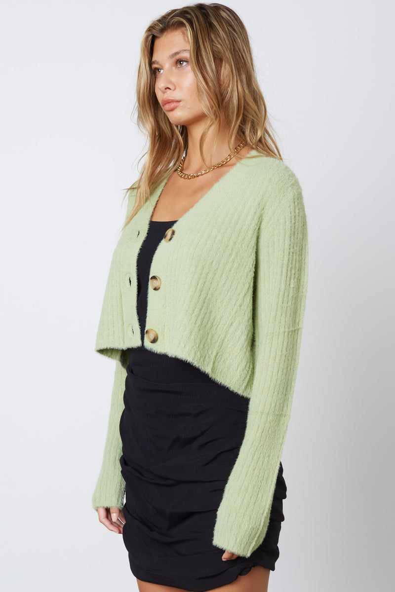 Fuzzy Cropped Cardigan in Pistachio